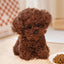 Peluche Chien Bichon Frisé