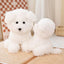 Peluche Chien Bichon Frisé