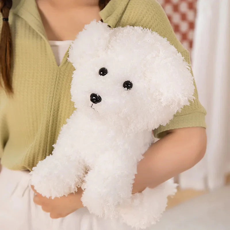 Peluche Chien Bichon Frisé