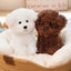 Peluche Chien Bichon Frisé