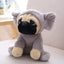 Peluche Chien Carlin Petit