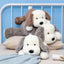 Peluche Chien Oreilles Tombantes